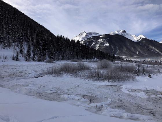 An example of winter wetlands surrounding Silverton. Photo credit Kelly Fetch