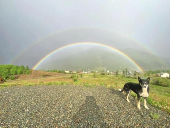Juno is excited that rainbow season has arrived Photo Credit Hillary Cable