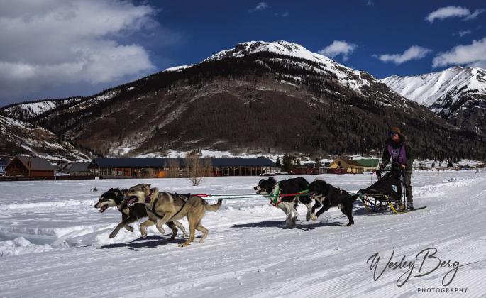 Dogs and mushers having fun at The Flying Dog Sled Races. Photo credit Wesley Berg